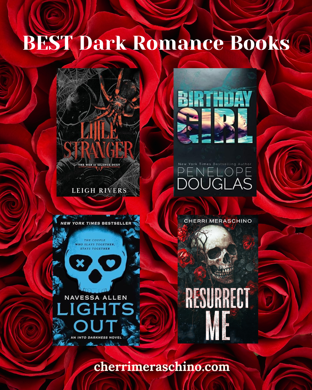 BEST Dark Romance Books Recs